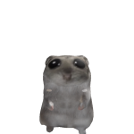 @ChomperCA2021