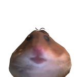 @Faze_jarves3