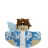 fireplacecap_2