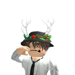 @roblox_user_875896667