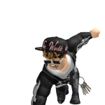 Ameer