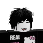 @roboloxx20133