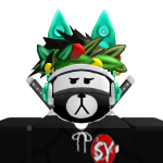 @ninja145315