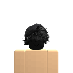 @GravycatmanNone