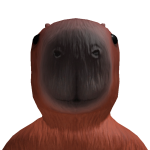 @Planetaries