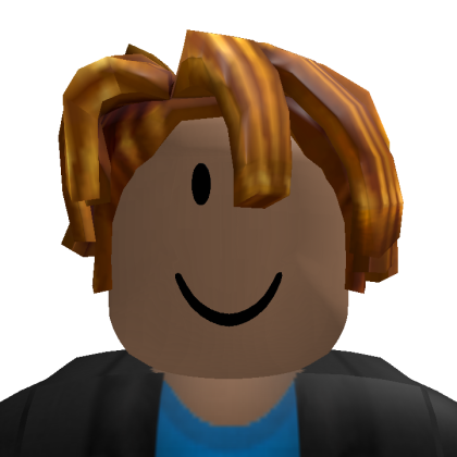 Roblox profile picture for @playbr1