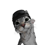@DogeStongs
