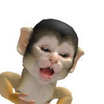 @eidwjw
