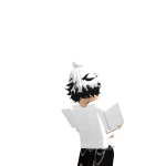@robloxwow_444