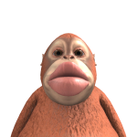 @gwairy