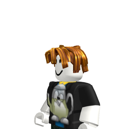 LOLplaysrobloxpayer1