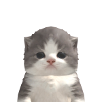 @adrynnlol