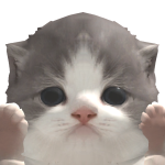 @sdnk1604
