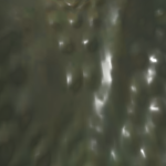 Lxah
