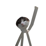 @Cas_hdd