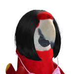 @jacksvid