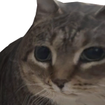 @MilkPng