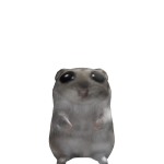 @souiex8007