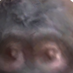 @LG_Fishsticks