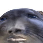 Concabietdi