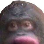 @SlothyRobby