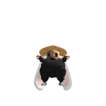 @OtherTeds