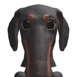 @lexithedog65