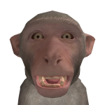 @Bassmos
