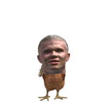 @roblox_user310311