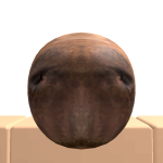 @FOR6R0BLOX