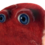 @not_angg