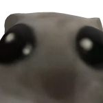 Rapatuvida
