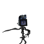 @Tyson_RobloxN2