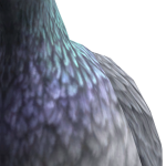 @ydkhesap1