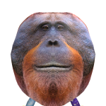 @TheFredBearsBite
