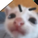 @HongoW13
