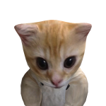 @Lsgameplaying