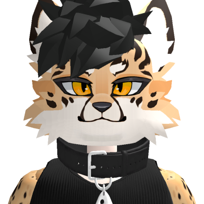 Roblox profile picture for @Namiwammy