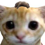 @TwinBobcat