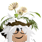 @silly_guy2001