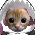 @XentoIsBack
