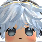 @ROBLOXfly_ubis