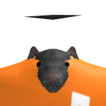 @ratty_jackk