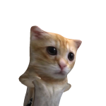 @robiitsss
