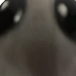 @epicdestoryer123456
