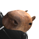 @Stefarus11