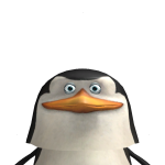 Skippertime