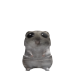 @Rainbowhamster3845