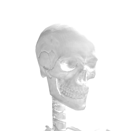 TheNewbSIayer