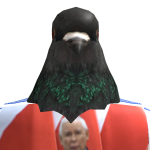 kenaj2_13